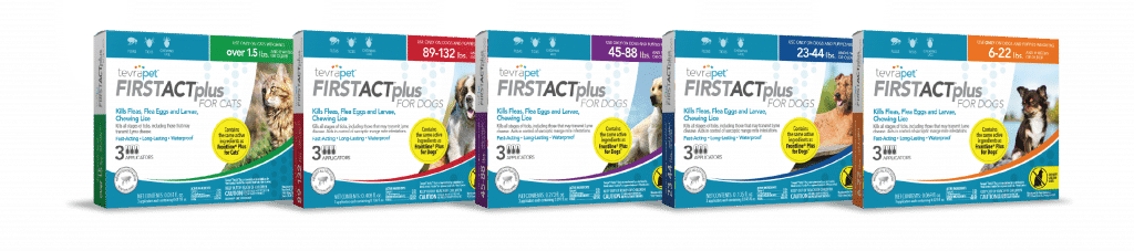 TP-FirstAct-Family-3-ct