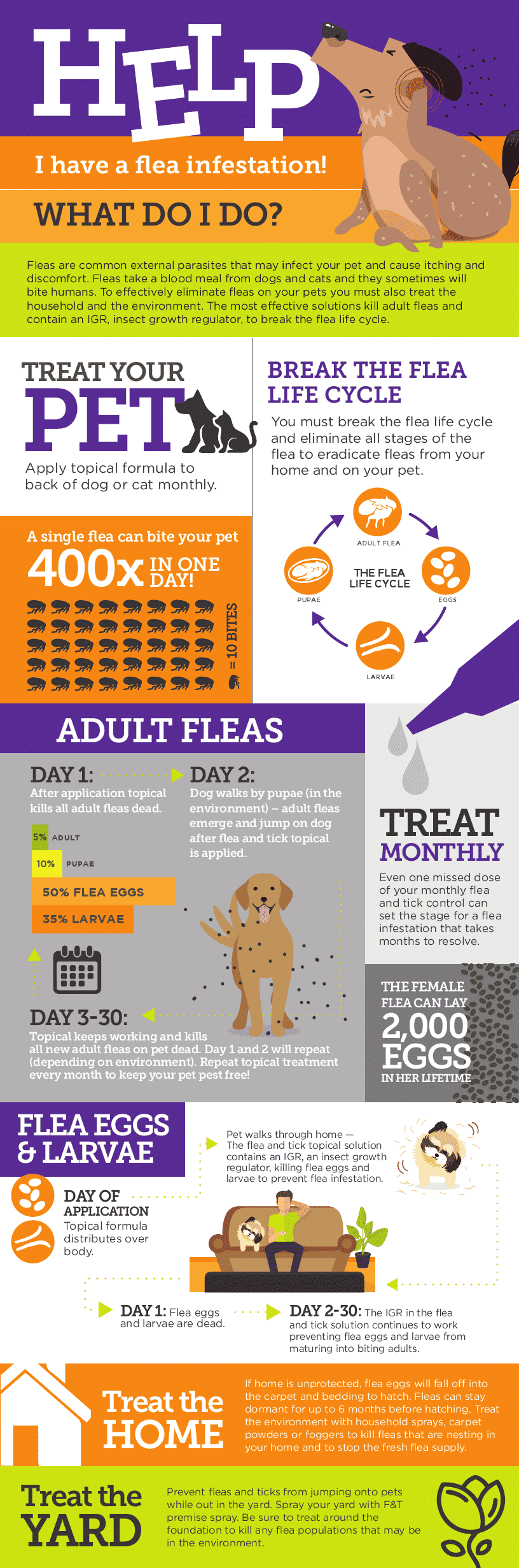 Flea and Tick 101 - Tevra Pet