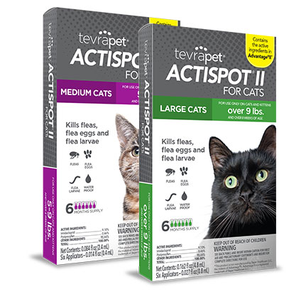 Actispot II For Cats - Tevra Pet