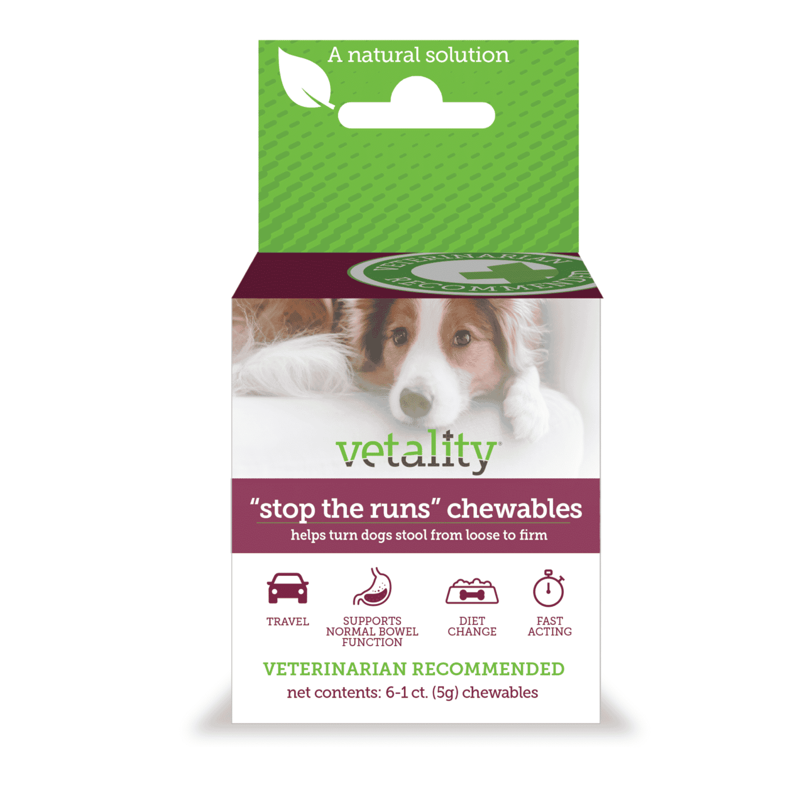 stop-the-runs-anti-diarrhea-chewable-for-dogs-tevra-pet