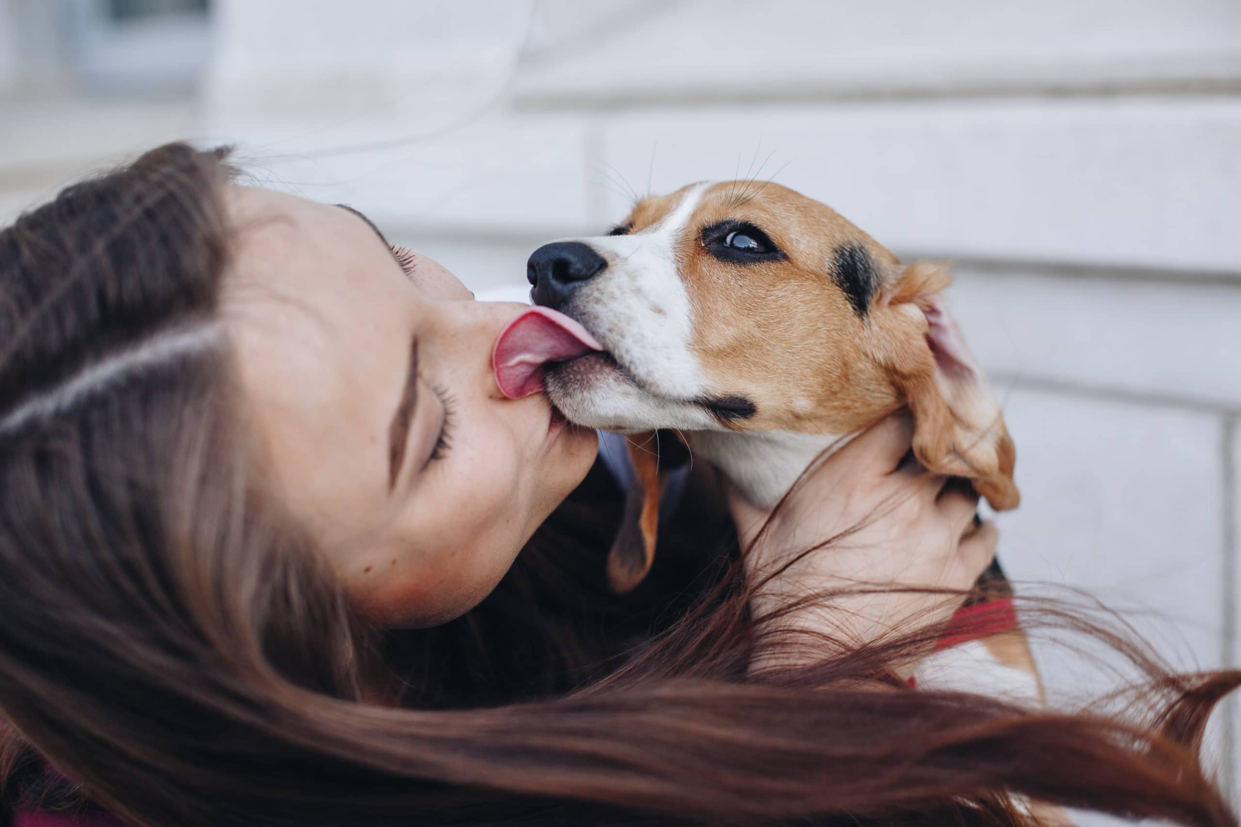 why do dogs kiss